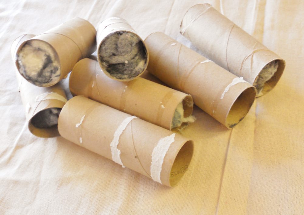 Toilet Paper Roll Firestarters