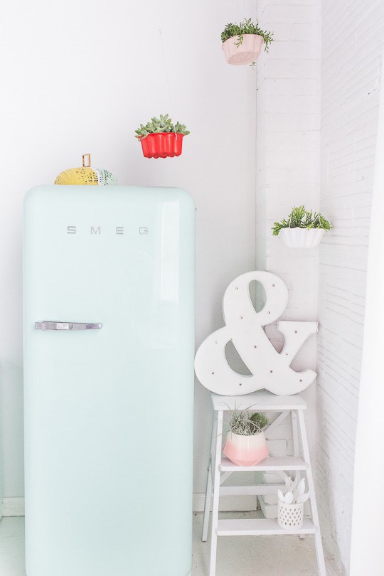 DIY HANGING BUNDT CAKE PAN PLANTERS