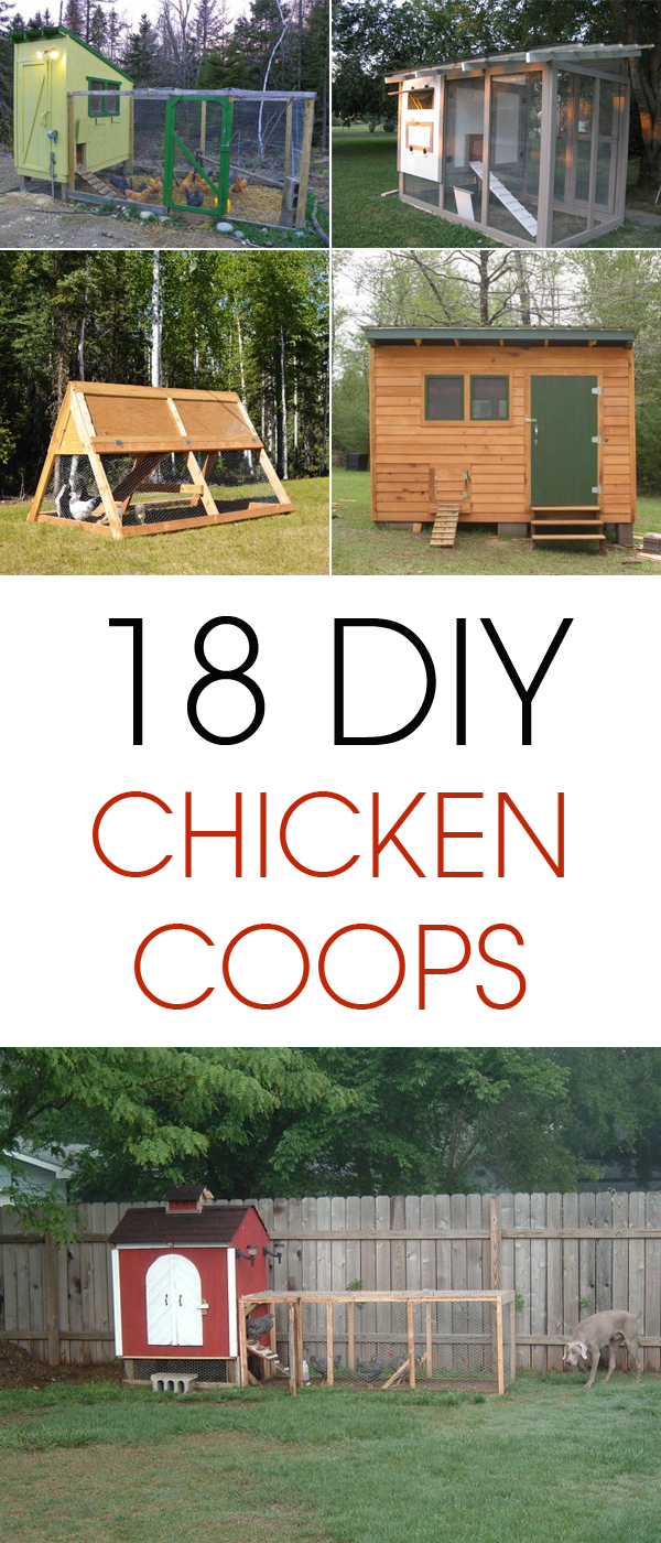 18 Amazing DIY Chicken Coop Projects