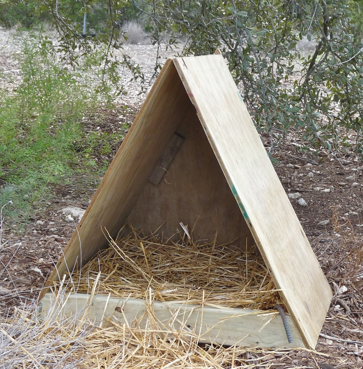 A-Frame nesting box