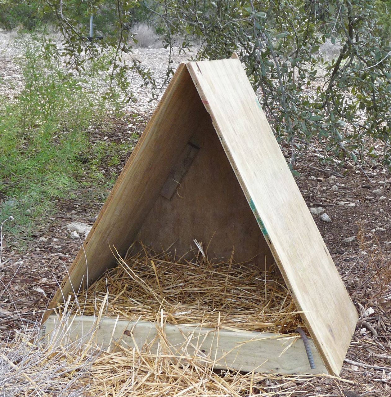 20 Easy Cheap DIY Chicken Nesting Boxes