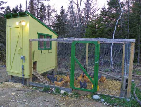 Downeast Thunder Farm Chicken Coop