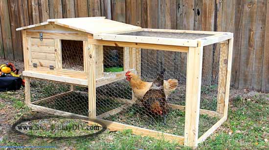 Small Backyard Chicken Coop