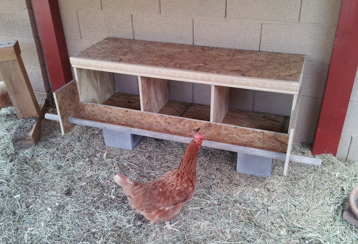 Triplex Chicken Nesting Box