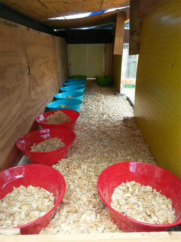 Use Large Plastic Bowls as Nesting Boxes