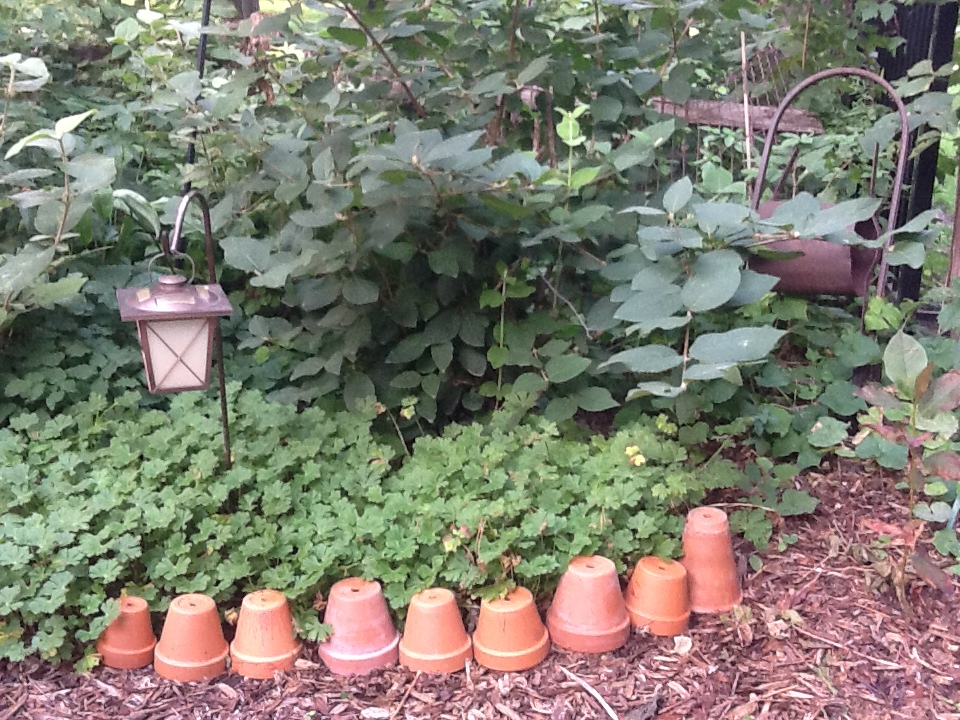 terra cotta flower pot garden edging