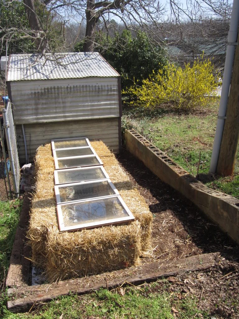 straw bale cold frame