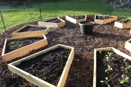 Medicine Wheel garden