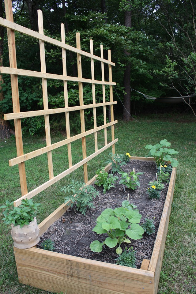 Raised Bed With Trellis