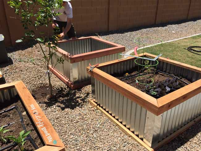 Wood and Steel Raised Garden Beds