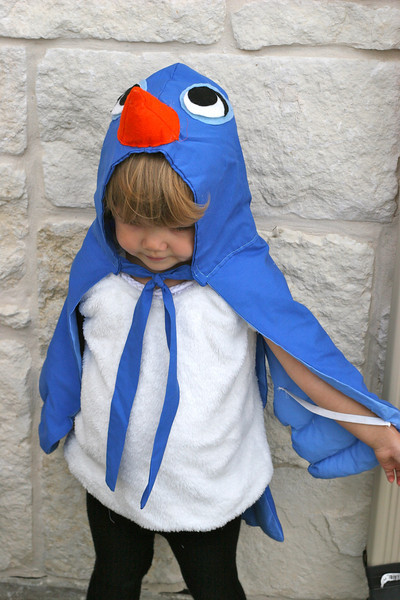 Bluebird Costume