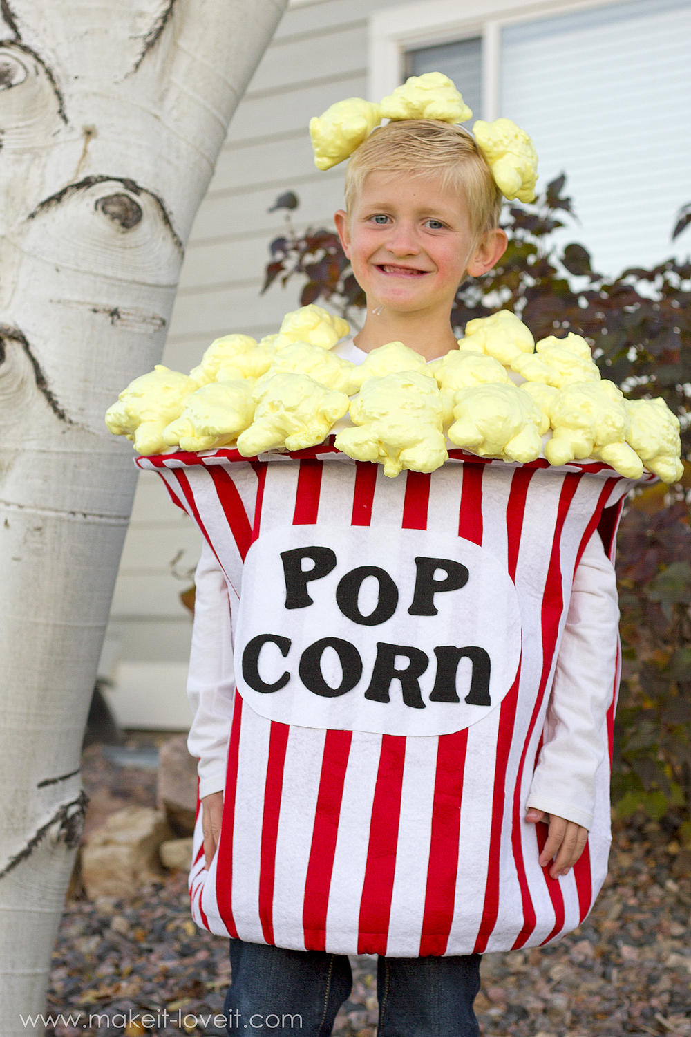 Bucket of Popcorn Costume
