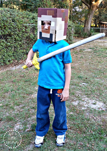 minecraft costume