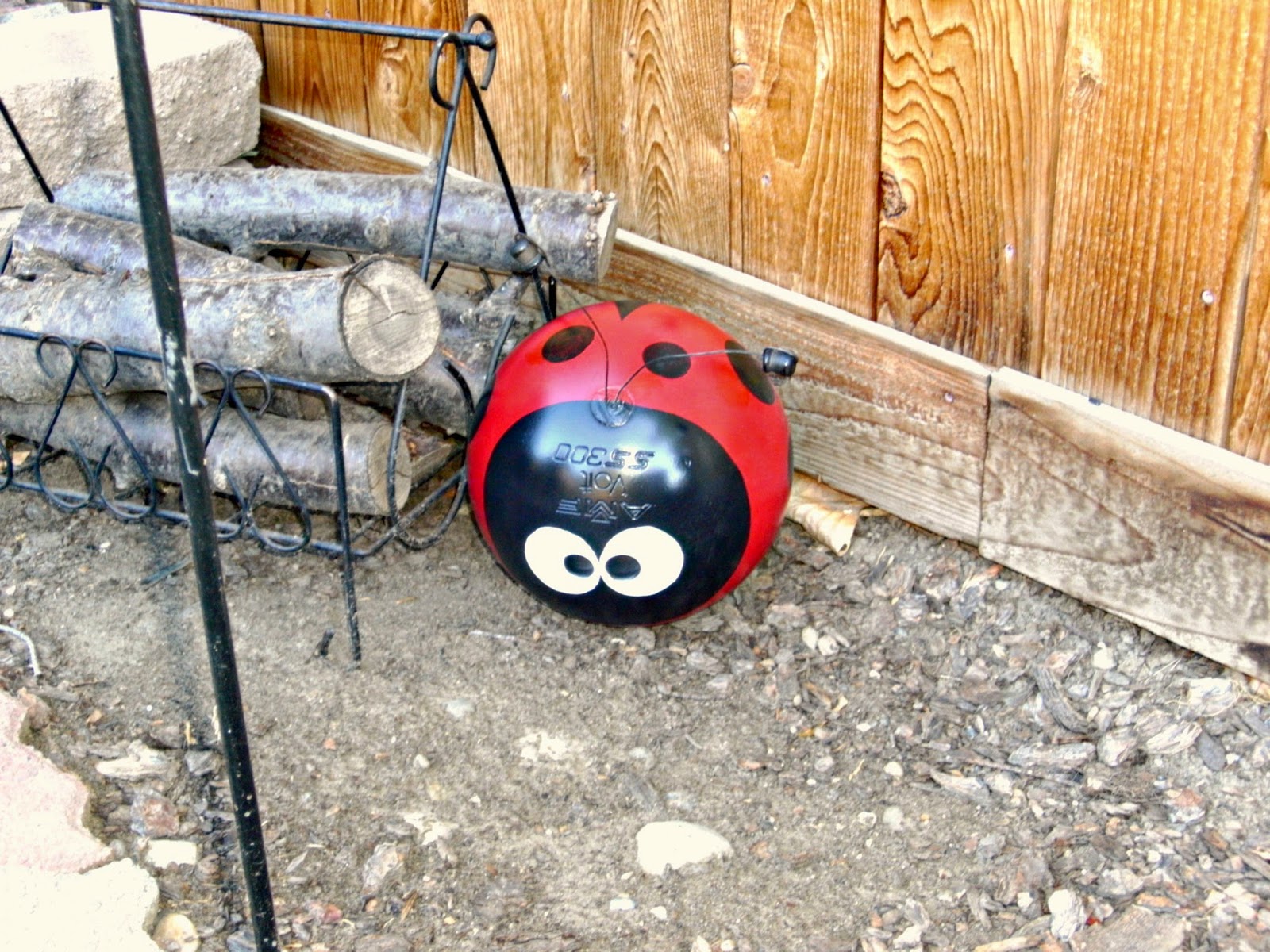 Bowling Ball Lady Bug