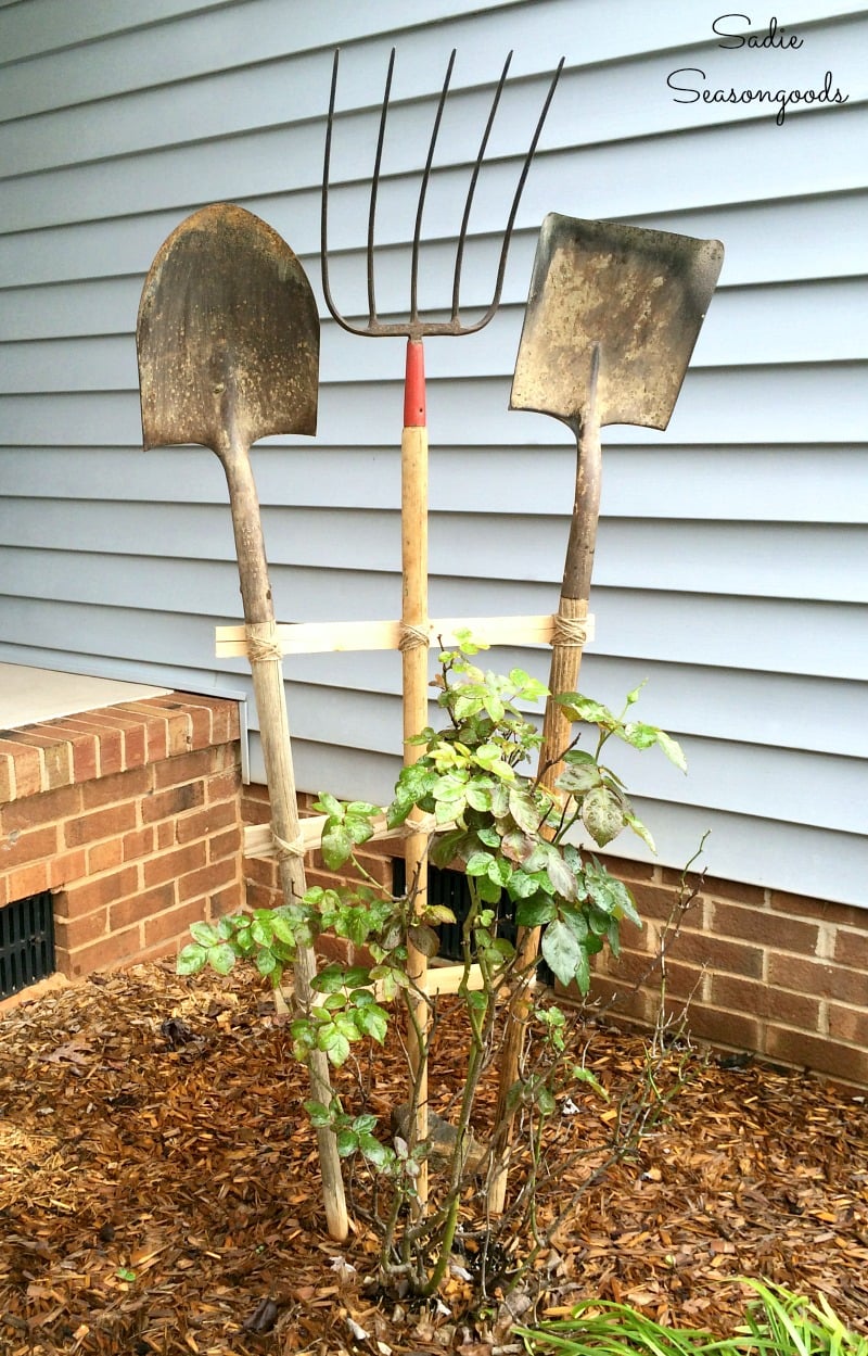 Trellis Using Old Garden Tools